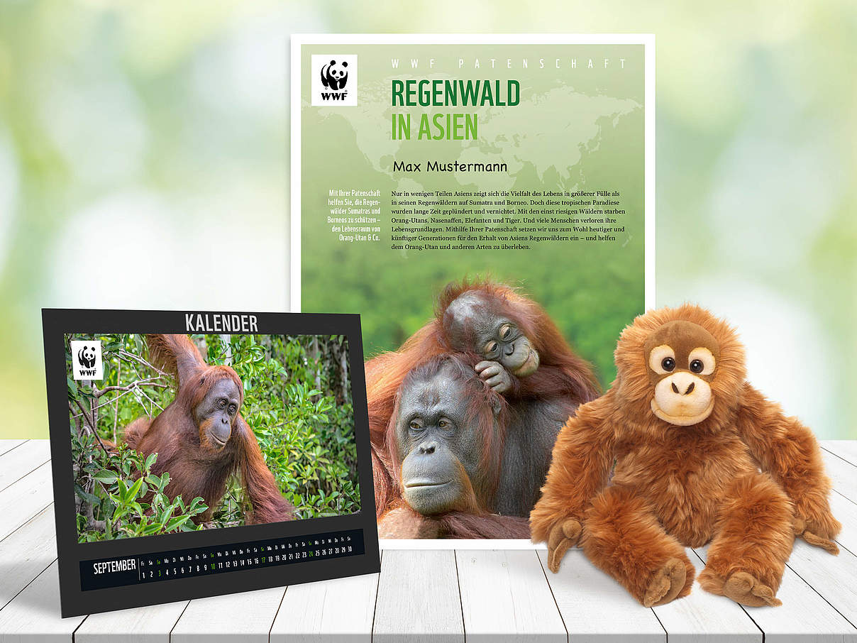 Begrüßungspaket Orang-Utan-Patenschaft © WWF Begrüßungspaket Orang-Utan-Patenschaft © WWF