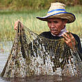 Fischer holt ein Netz ein © Kelsey Hartman / WWF