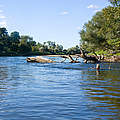 Flusslandschaft an der Wilden Mulde © Heiko Schrenner /WWF 