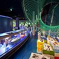 Eine interaktive Ausstellung des WWF im Ozeaneum zum Thema Fischerei © Johannes-Maria Schlorke / Deutsches Meeresmuseum Stralsund