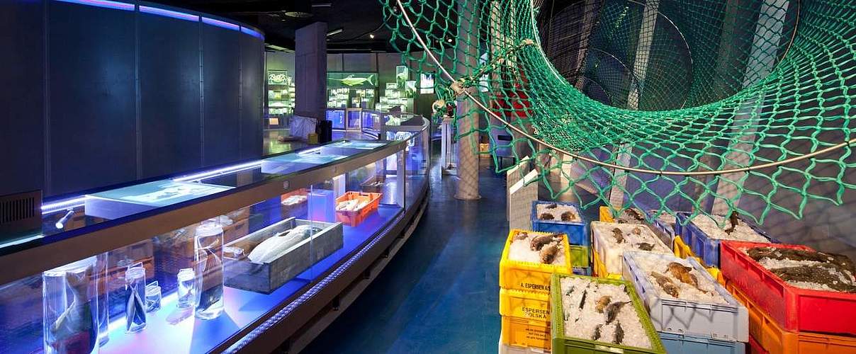 Eine interaktive Ausstellung des WWF im Ozeaneum zum Thema Fischerei © Johannes-Maria Schlorke / Deutsches Meeresmuseum Stralsund