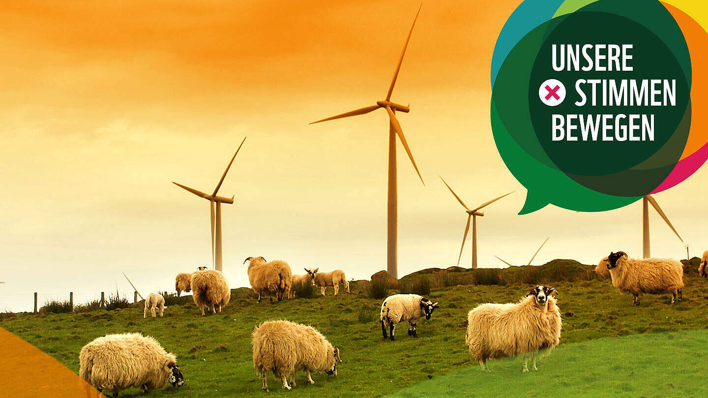 Erneuerbare Energien WWF Think © WWF
