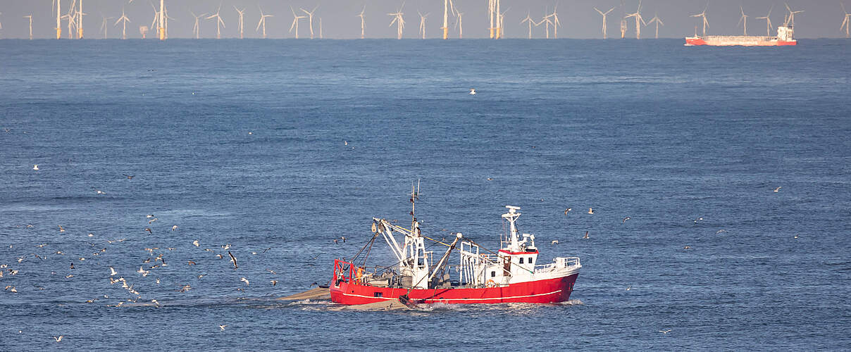 Kutter in der Nordsee © JK / iStock / Getty Images