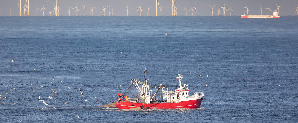 Kutter in der Nordsee © JK / iStock / Getty Images