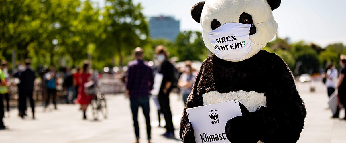 Klimaschutz ist systemrelevant! © Jörg Farys / WWF