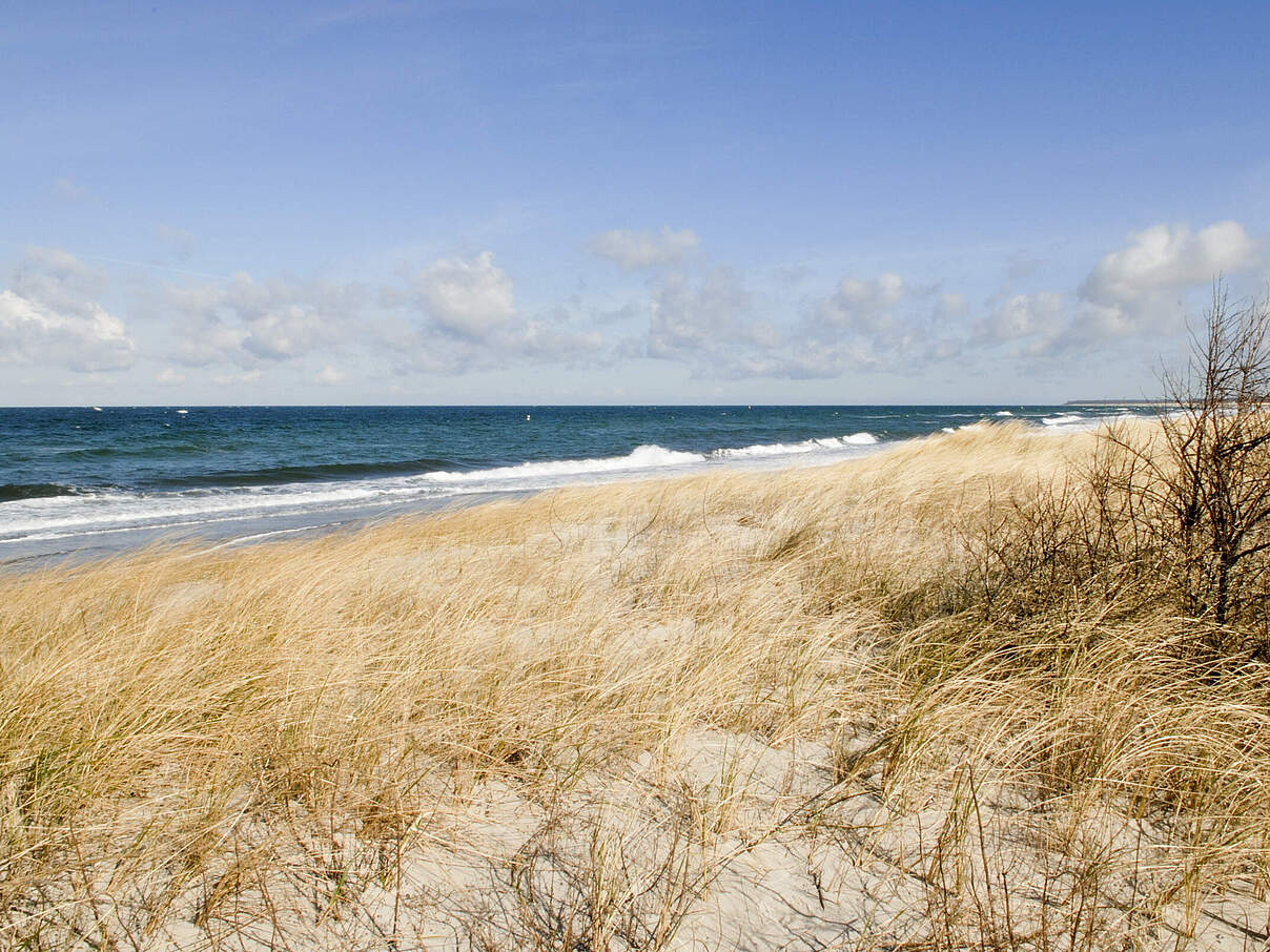 Ostseestrand bei Warnemünde © Ralph Frank / WWF
