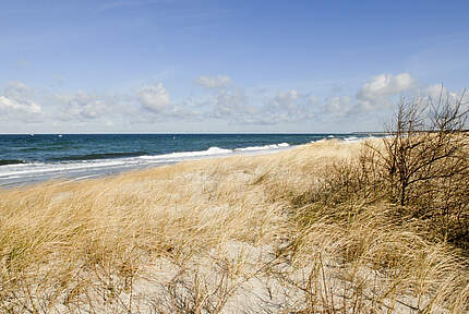 Ostseestrand bei Warnemünde © Ralph Frank / WWF