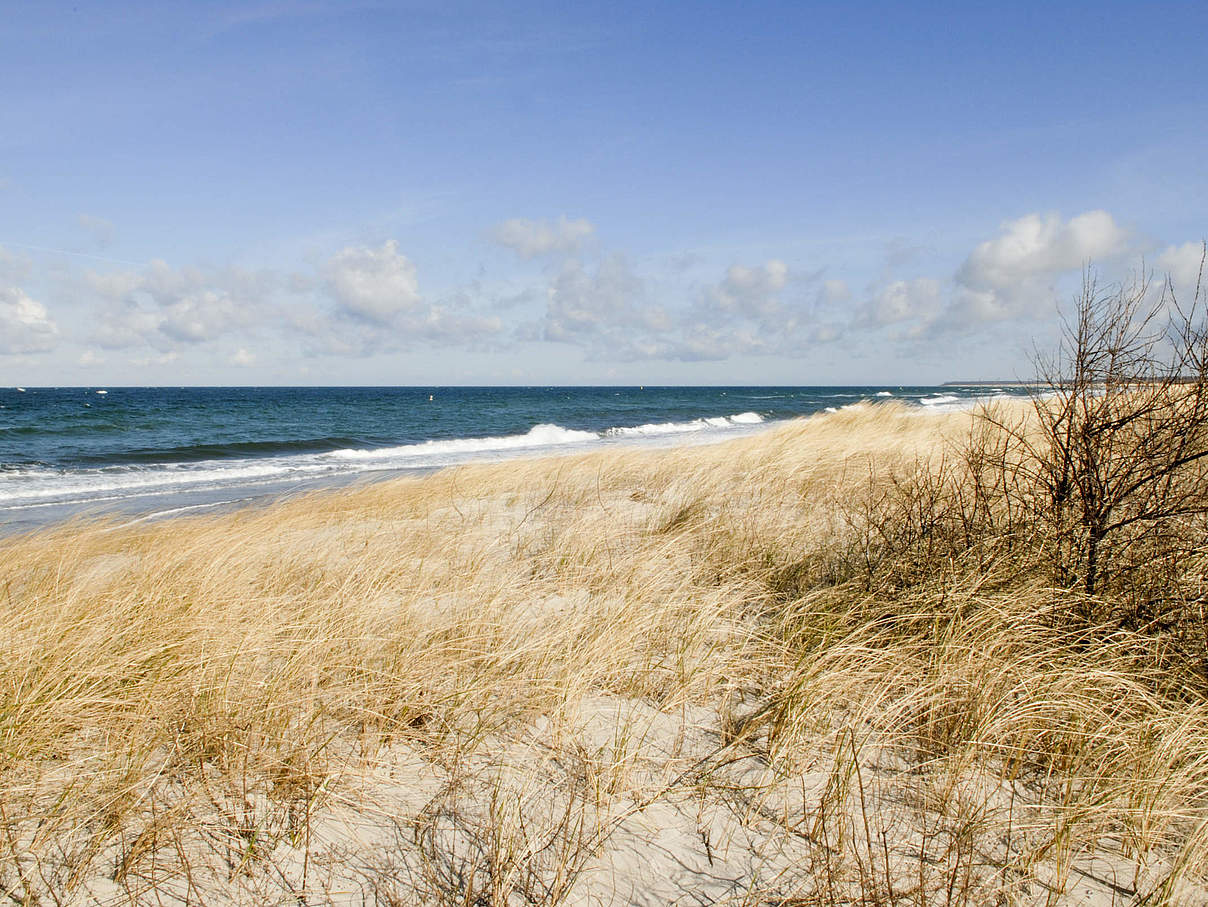 Ostseestrand bei Warnemünde © Ralph Frank / WWF