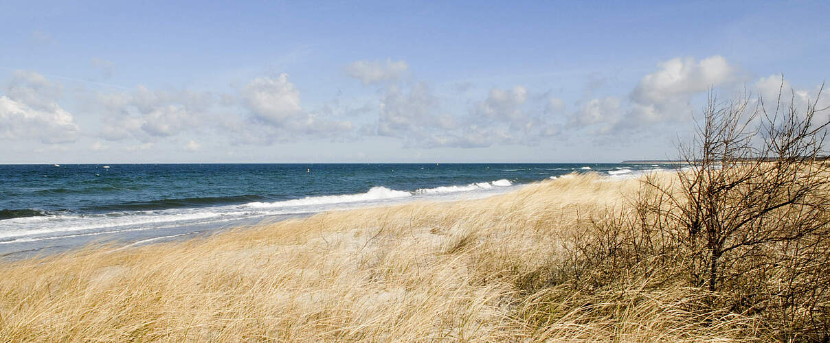 Ostseestrand bei Warnemünde © Ralph Frank / WWF