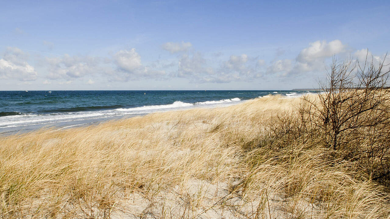 Ostseestrand bei Warnemünde © Ralph Frank / WWF