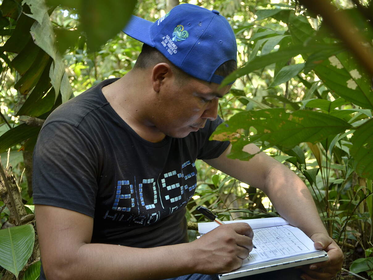 Edwin Rodríguez nimmt die Daten aus den Messungen von Bäumen mit einem Durchmesser von mehr als 2 cm © Stefany Olaya / WWF Kolumbien