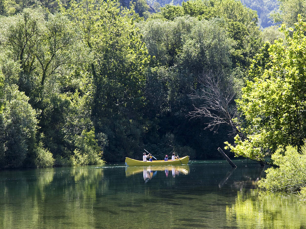 Beim Paddeln die Natur genießen © GettyImages Beim Paddeln die Natur genießen © GettyImages