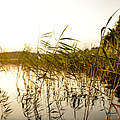 Flusslandschaft Uckermark © Peter Jelinek / WWF