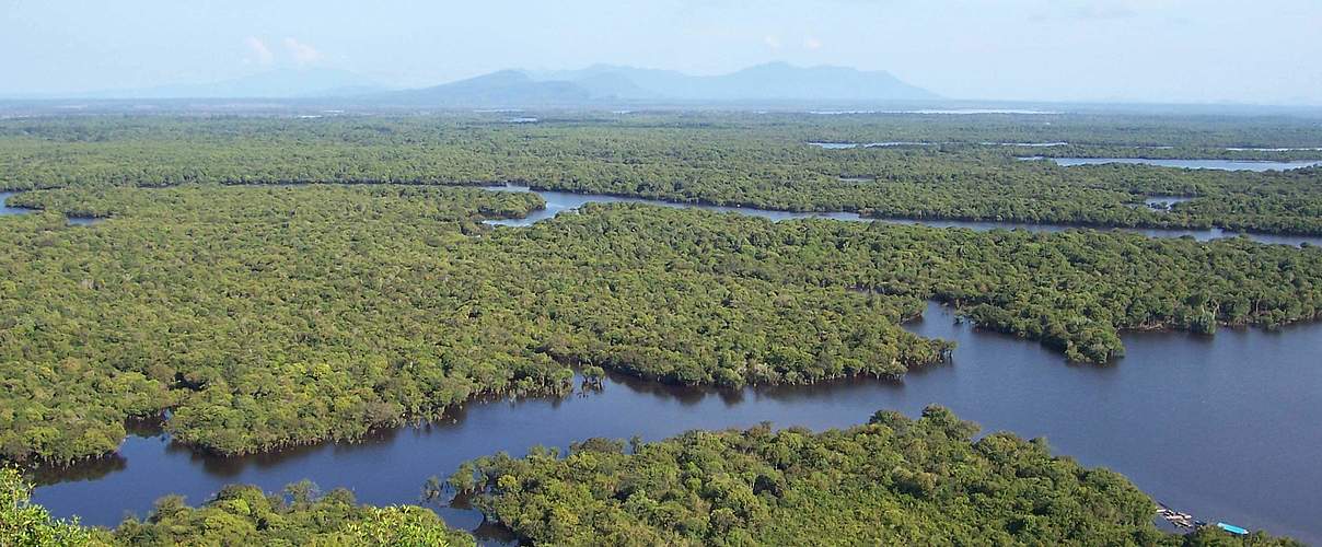 Westkalimantan © Budi Suryansyah / WWF Indonesien