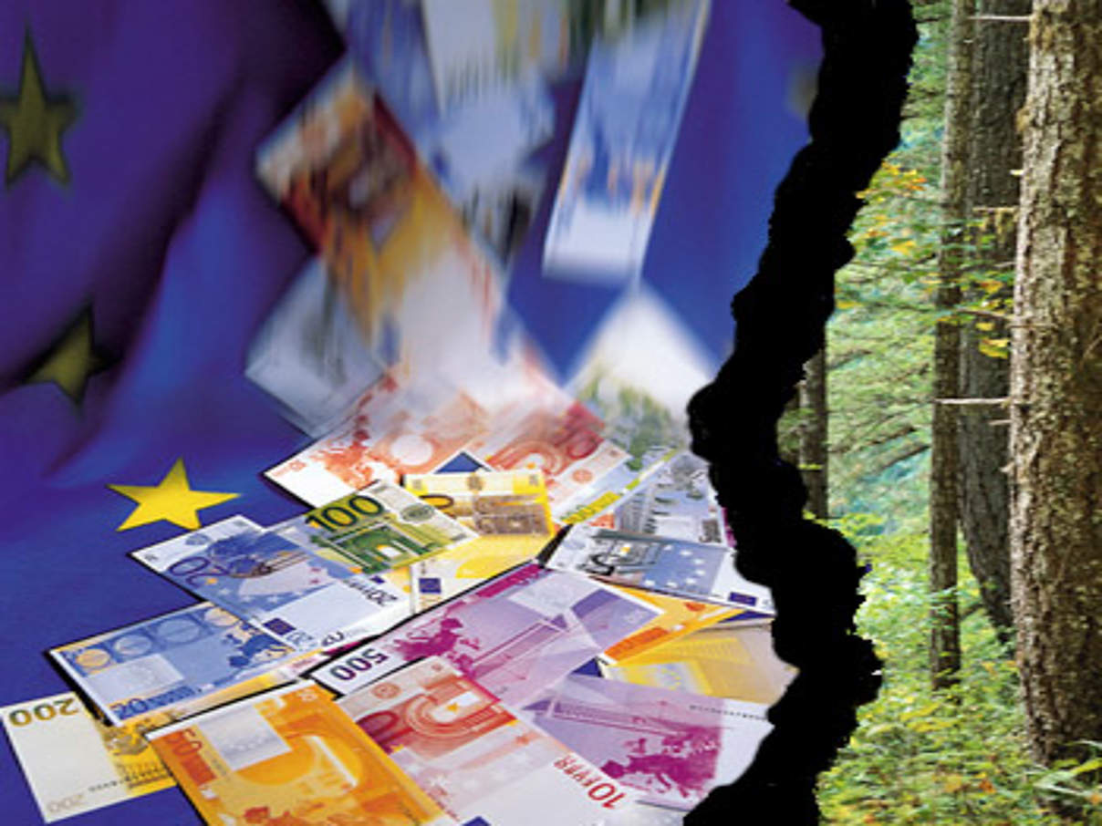 350 Radikalku rzungen bei Entwicklungshilfe und O kologie M c photodisc