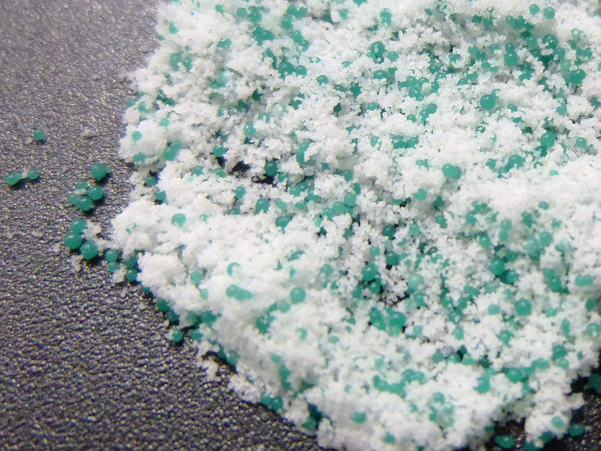 Aus einem Gesichtspeeling herausgewaschene Microbeads © Fraunhofer UMSICHT