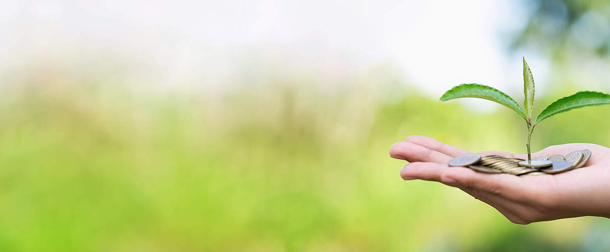 Geld auf einer Hand © Kanjana Jorruang / iStock / Getty Images