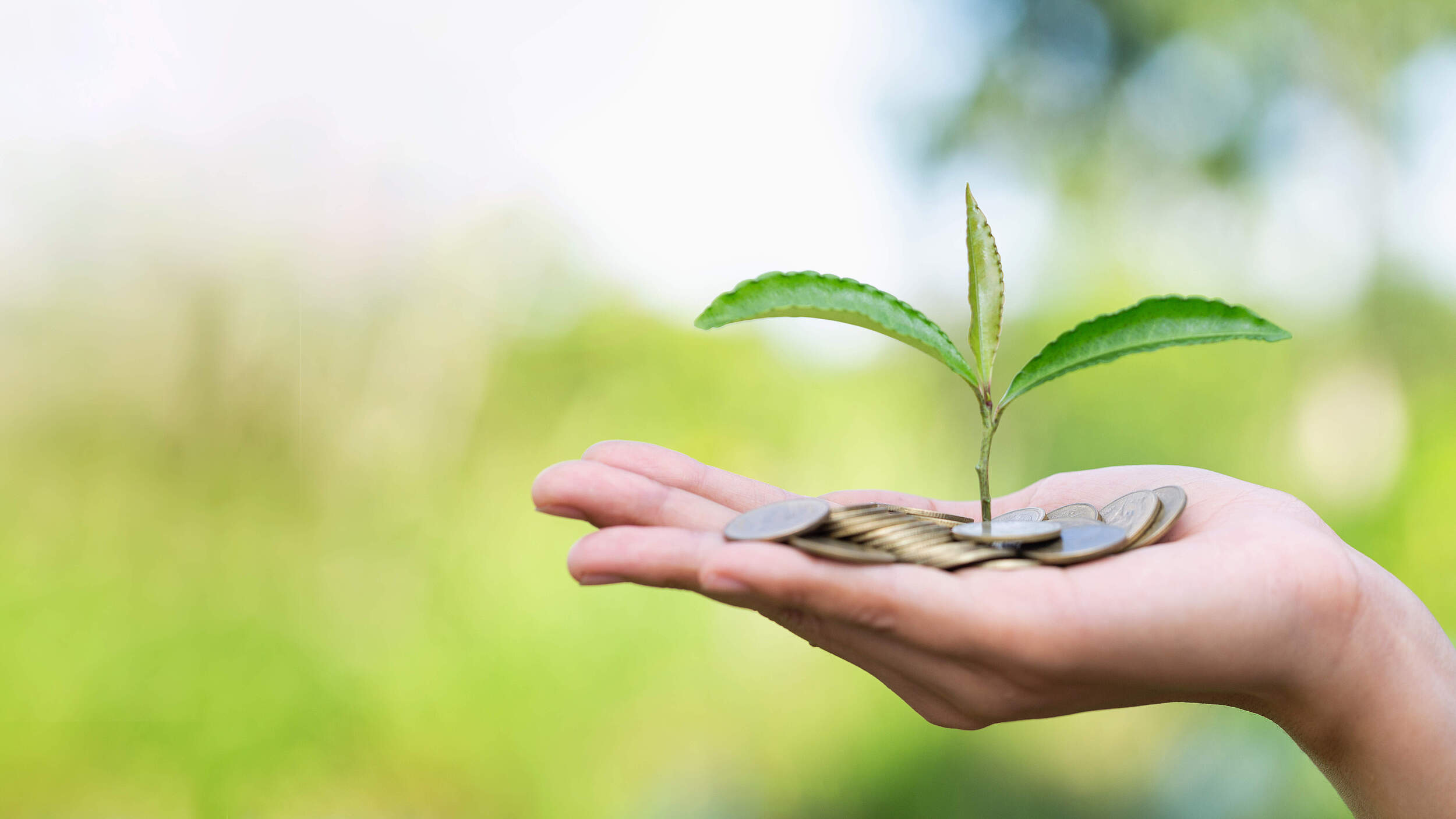 Geld auf einer Hand © Kanjana Jorruang / iStock / Getty Images