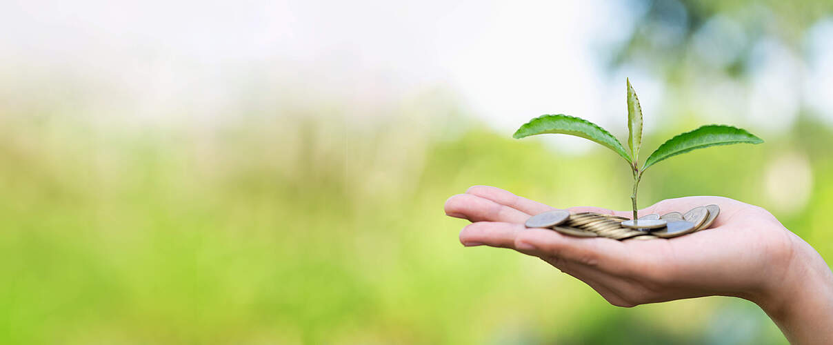 Geld auf einer Hand © Kanjana Jorruang / iStock / Getty Images