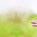 Geld auf einer Hand © Kanjana Jorruang / iStock / Getty Images