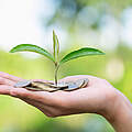 Geld auf einer Hand © Kanjana Jorruang / iStock / Getty Images