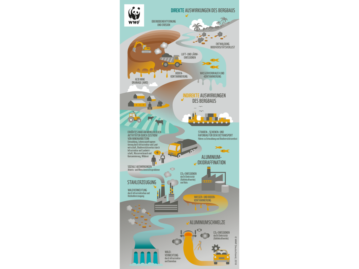 Infografik: Direkte Auswirkungen des Bergbaus © WWF