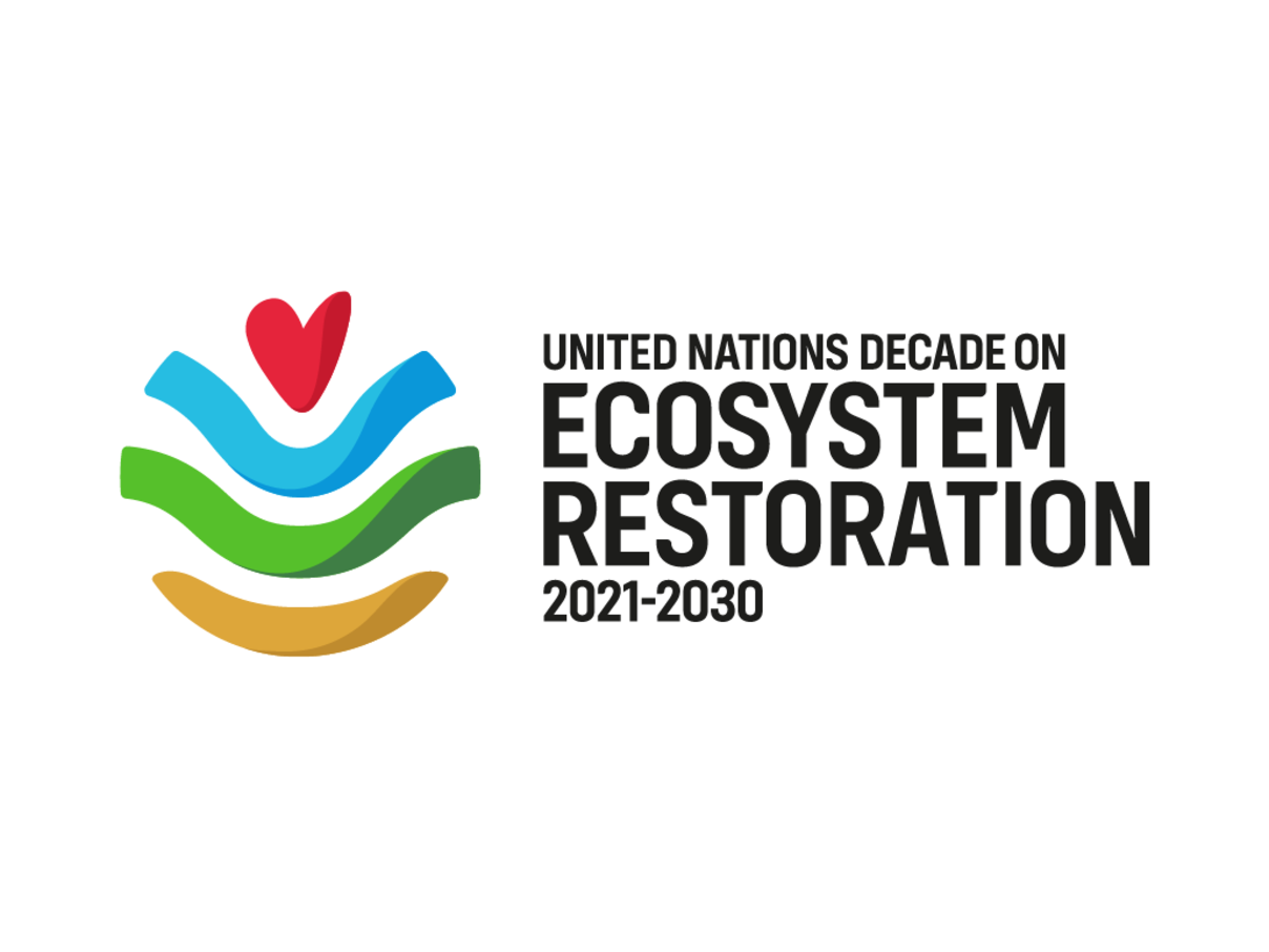 Logo der UN Decade on Ecosystem Restoration