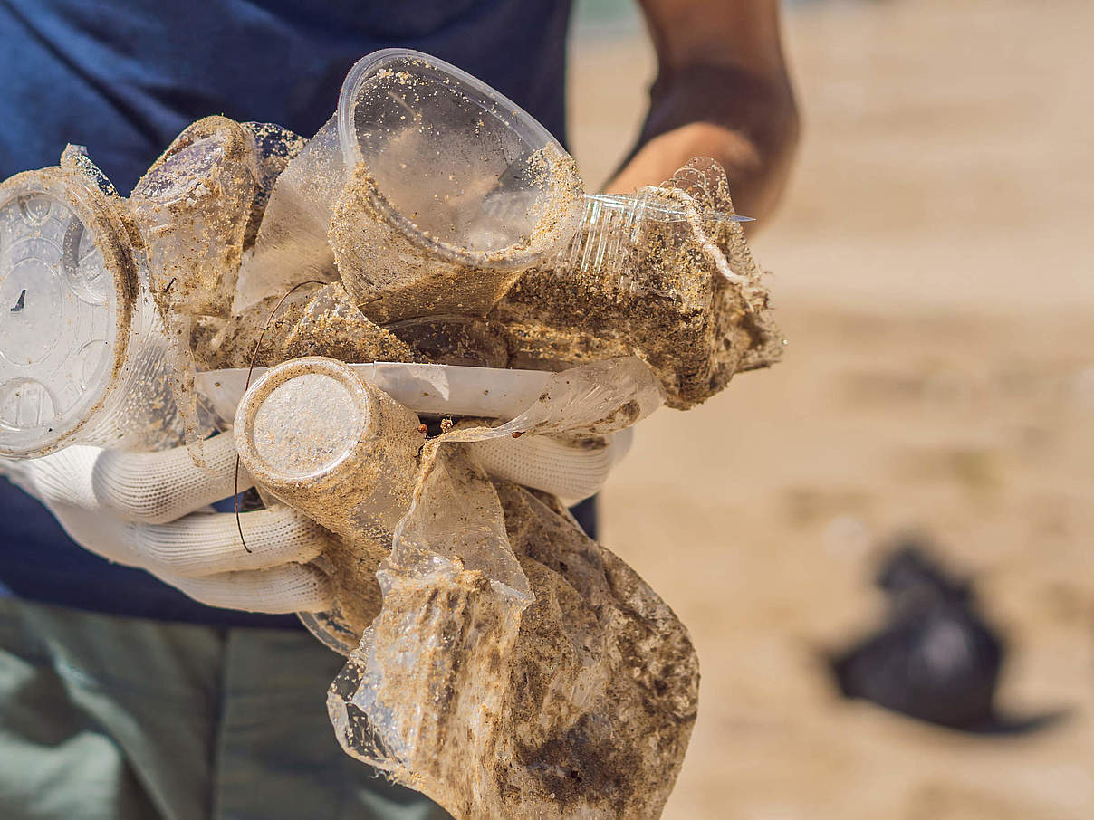 Einweg-Plastikbecher am Strand © Shutterstock / Elizaveta Galitckaia / WWF