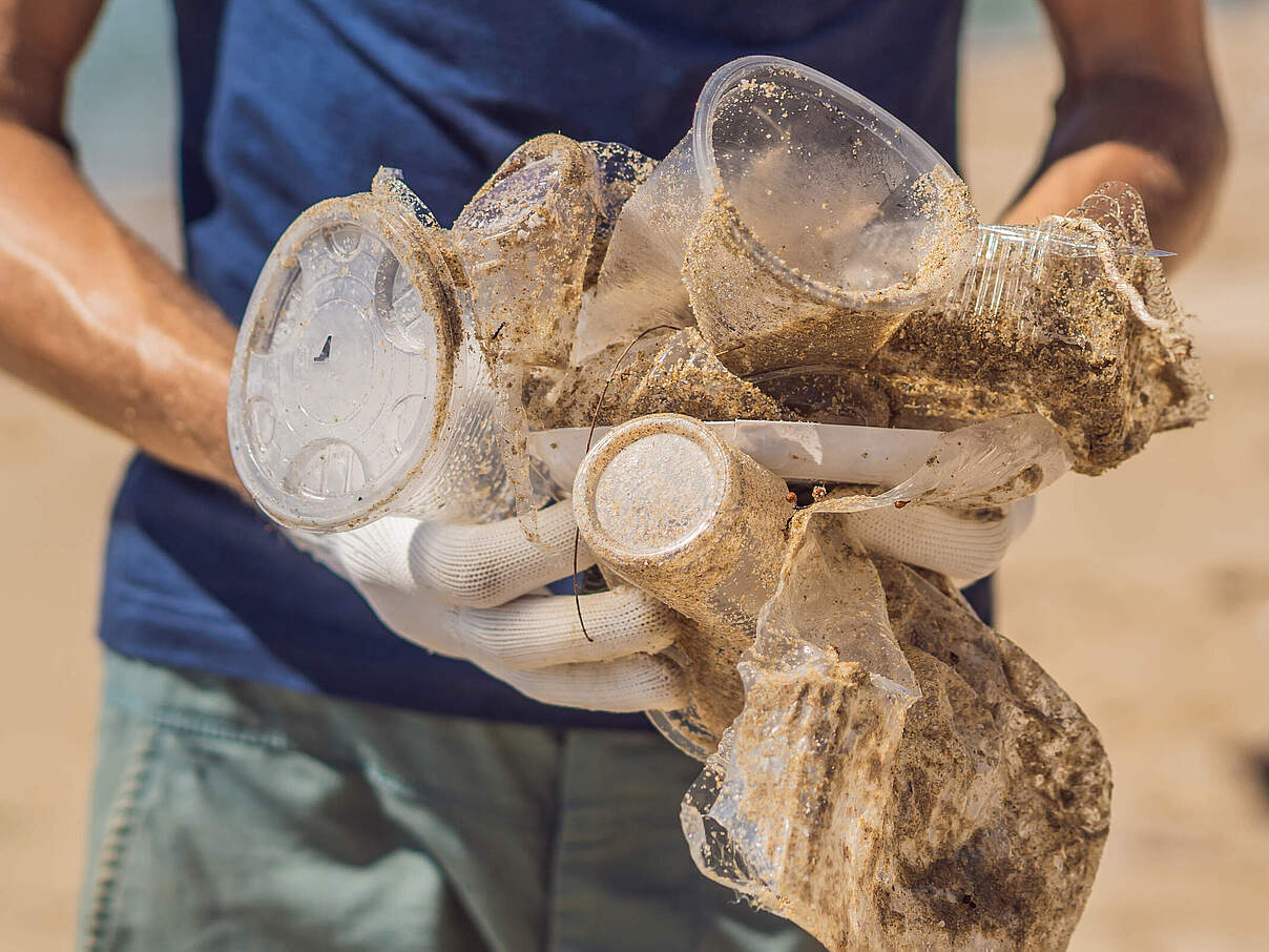 Einweg-Plastikbecher am Strand © Shutterstock / Elizaveta Galitckaia / WWF