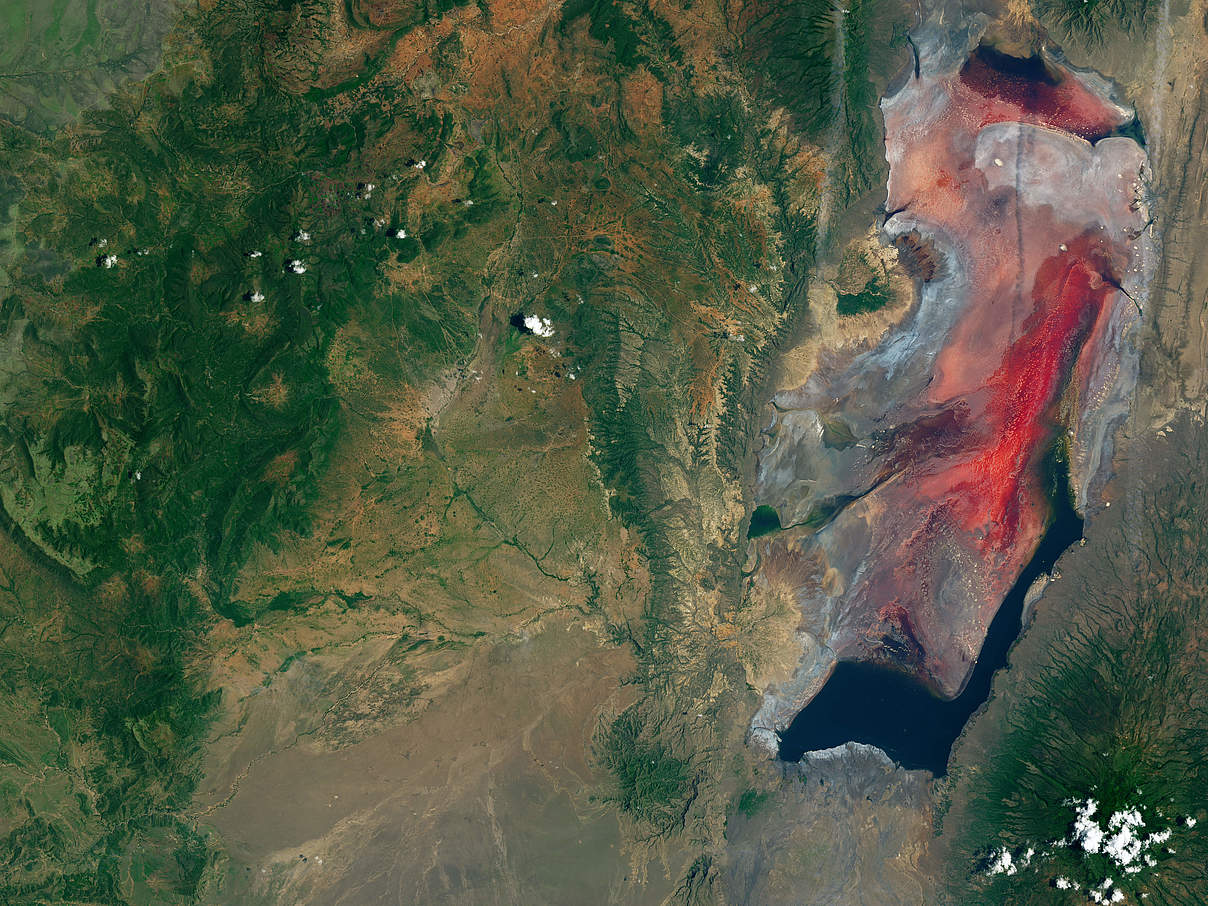 Der Lake Natron in Tansania von oben © Joshua Stevens / NASA Earth Observatory
