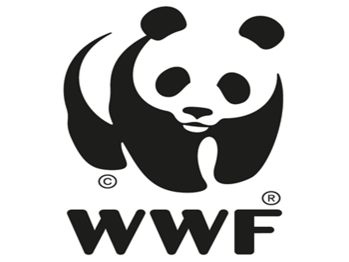 350 logo wwf panda