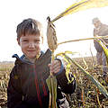 Junge im Maisfeld © Arnold Morascher / WWF
