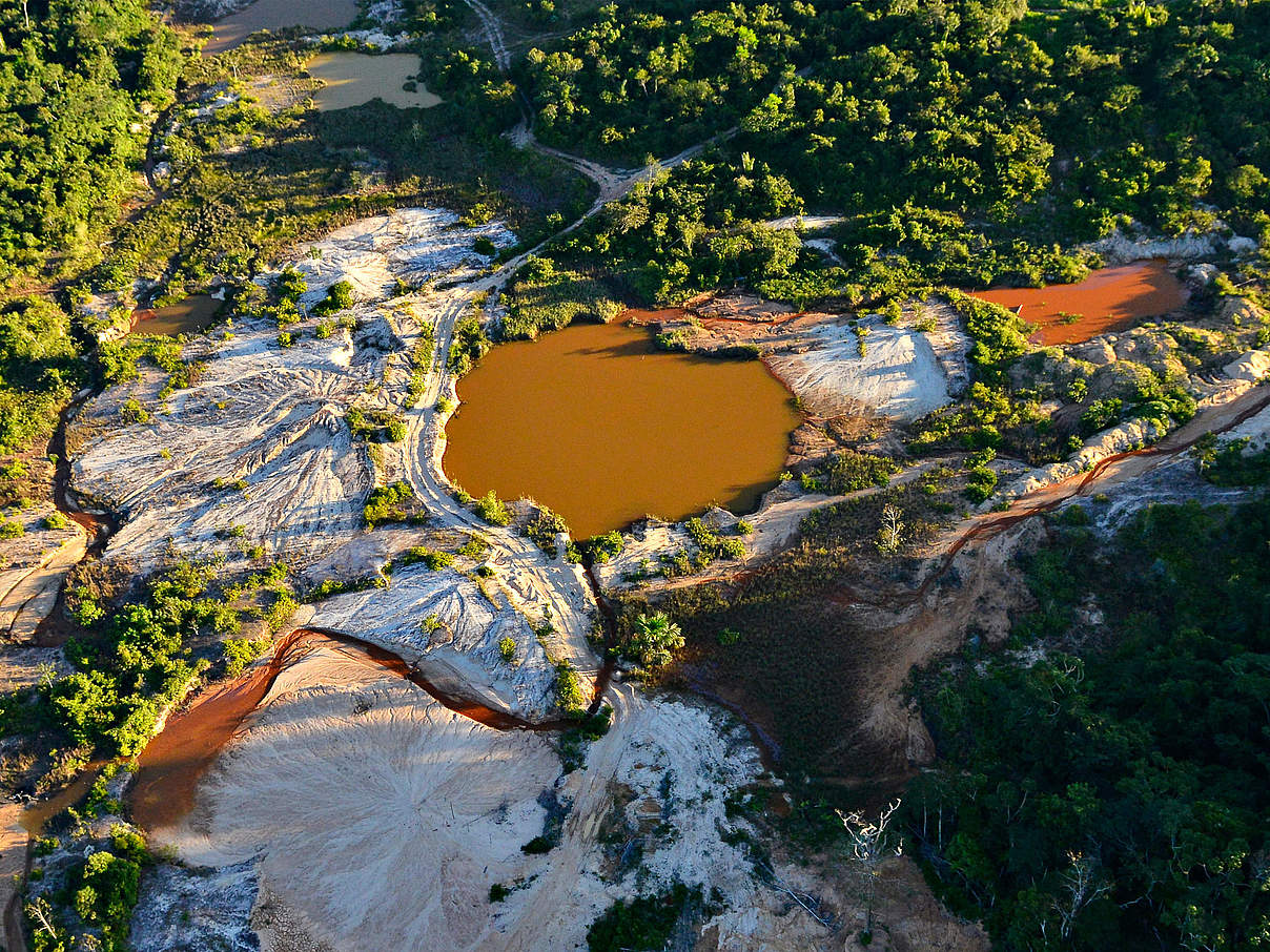 Auswirkungen von Kleinbergbau im Amazonas © Adriano Gambarini / WWF Brasilien