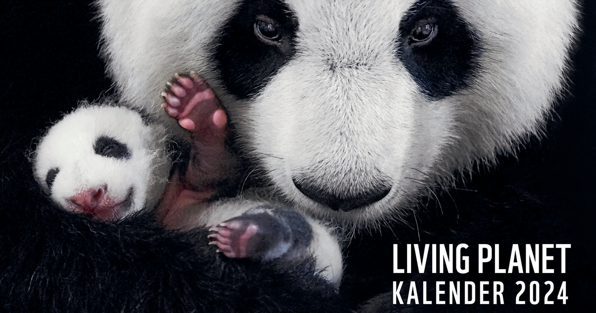 WWF Living Kalender 2025 als Dankeschön