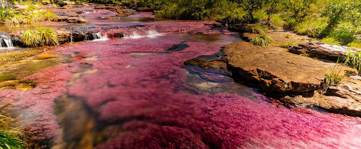 Bunter Algenteppich auf einem Fluss in La Lindosa, Kolumbien @ Louis Barreto