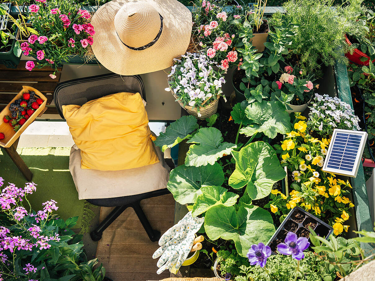 Üppig bepflanzter Balkon