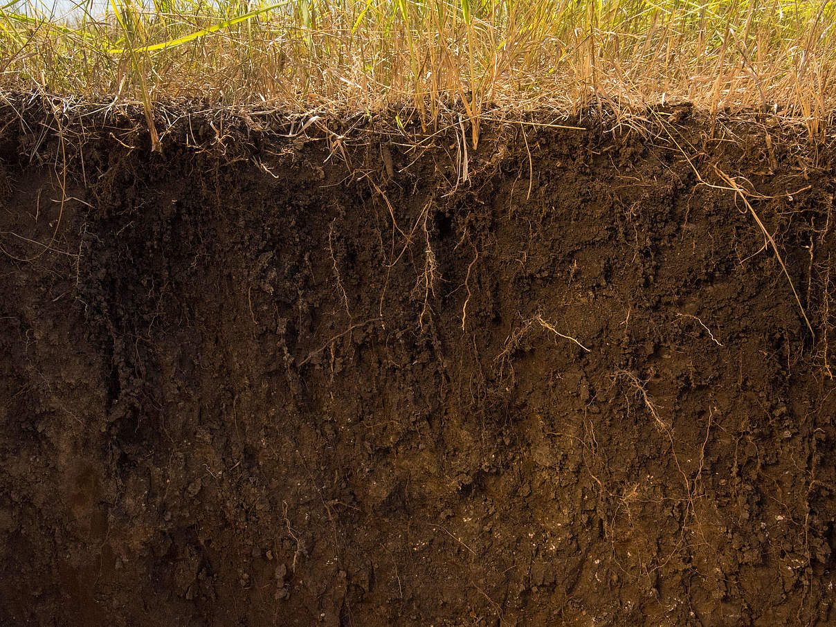 Vertikaler Schnitt in die Erde © Clay Bolt / WWF USA