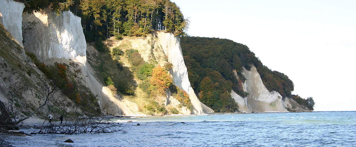 Kreideküste auf Rügen © Annika Magdorf / WWF