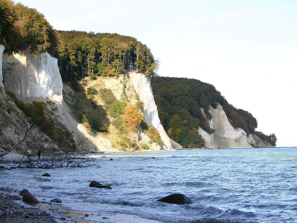 Kreideküste auf Rügen © Annika Magdorf / WWF