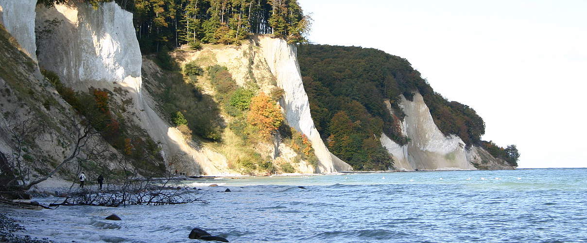 Kreideküste auf Rügen © Annika Magdorf / WWF