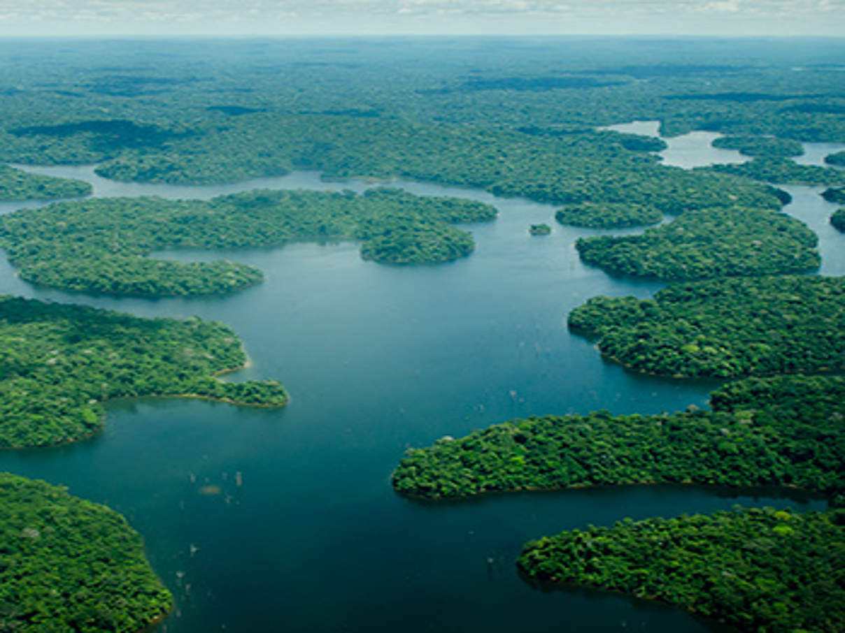 Uatumo Reservat in Brasilien © Ricardo Lisboa/ WWF US