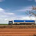 Cerrado in Brasilien © Peter Caton / WWF UK