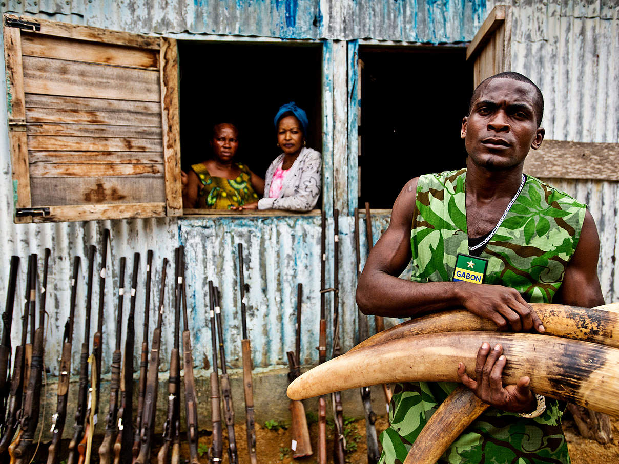 Beschlagnahmtes Elfenbein © James Morgan / WWF