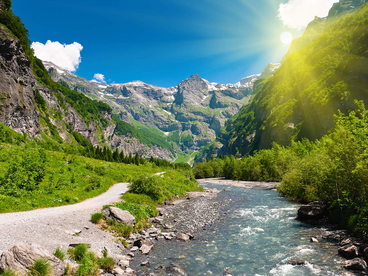 Fluss durch Gebirgsregion © ATANA STUDIO / iStock / GettyImages