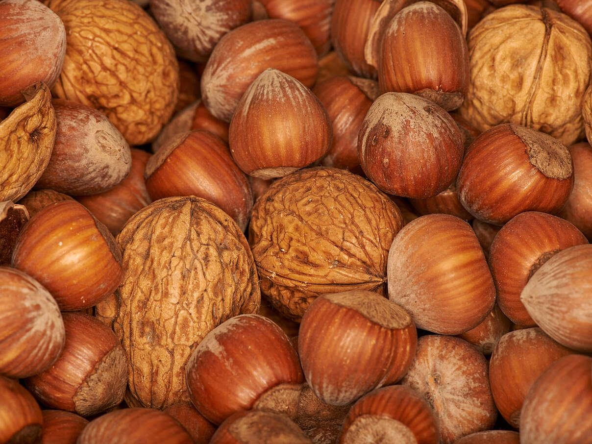Walnüsse und Haselnüsse