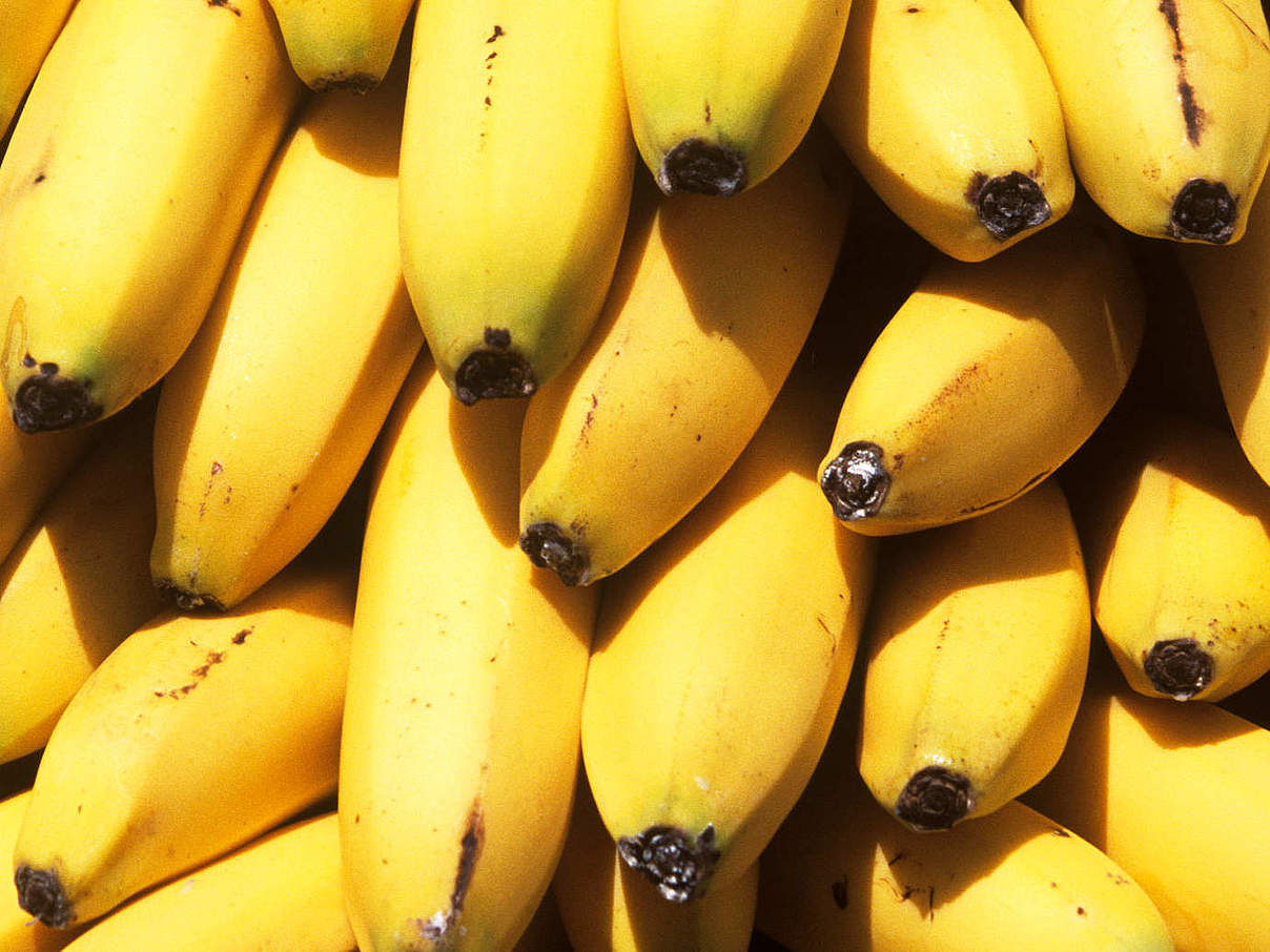 Bananen mit EDEKA Logo © David Lawson / WWF-UK