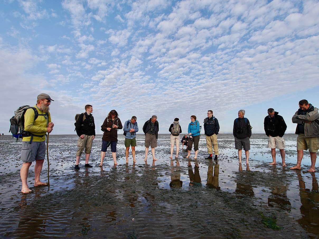 Tourgruppe bei einer Wattführung © Hans-Ulrich Rösner / WWF