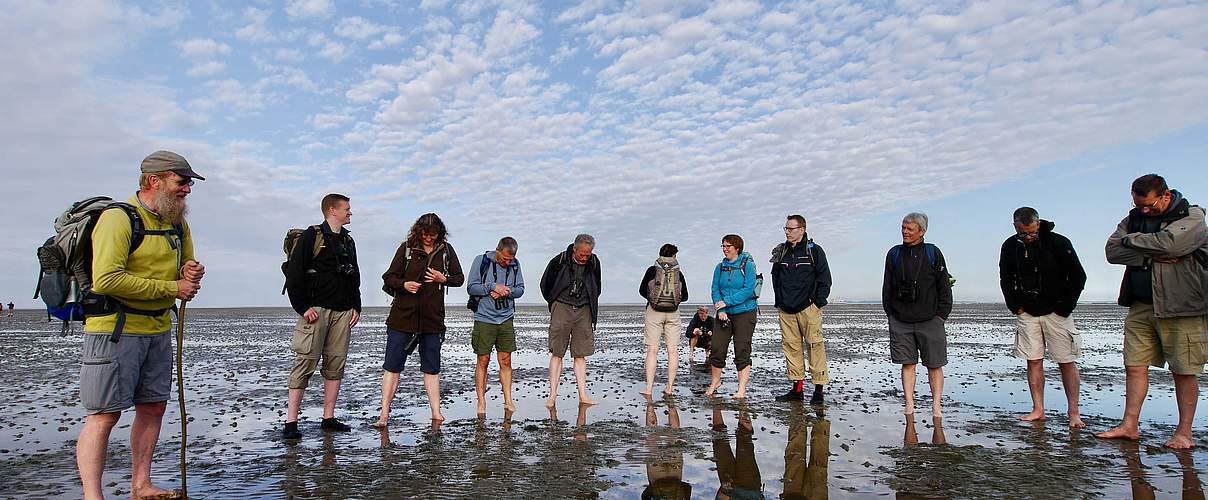 Tourgruppe bei einer Wattführung © Hans-Ulrich Rösner / WWF