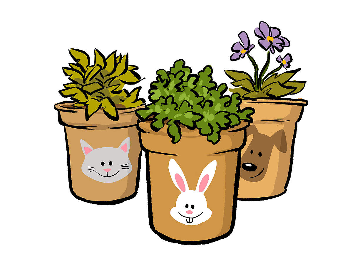 Blumentöpfe mit Tiergesichtern