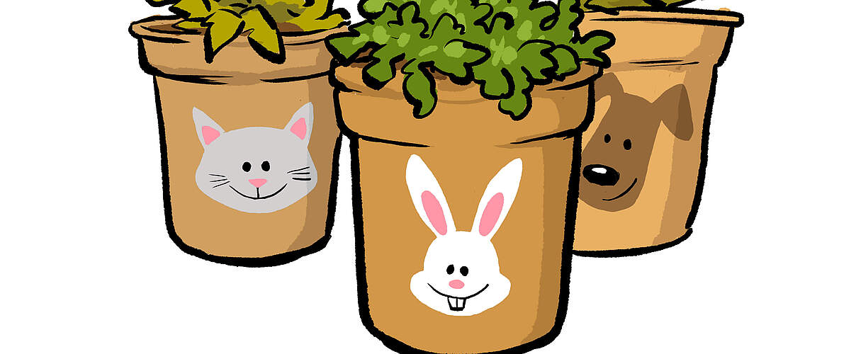 Blumentöpfe mit Tiergesichtern